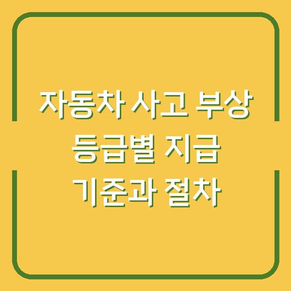 자동차 사고 부상 등급별 지급 기준과 절차