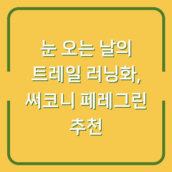 눈 오는 날의 트레일 러닝화, 써코니 페레그린 추천