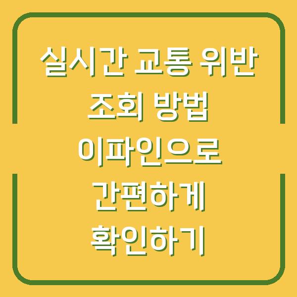 실시간 교통 위반 조회 방법 이파인으로 간편하게 확인하기