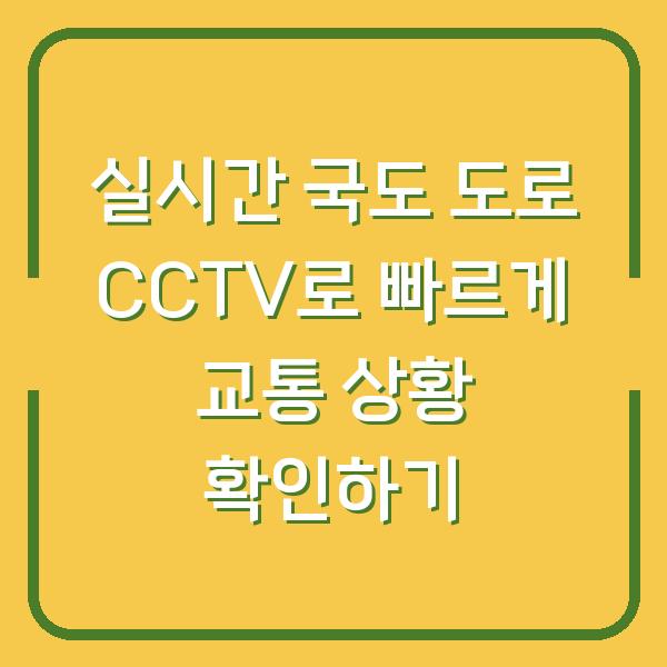 실시간 국도 도로 CCTV로 빠르게 교통 상황 확인하기