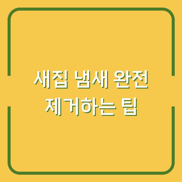 새집 냄새 완전 제거하는 팁