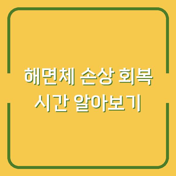 해면체 손상 회복 시간 알아보기