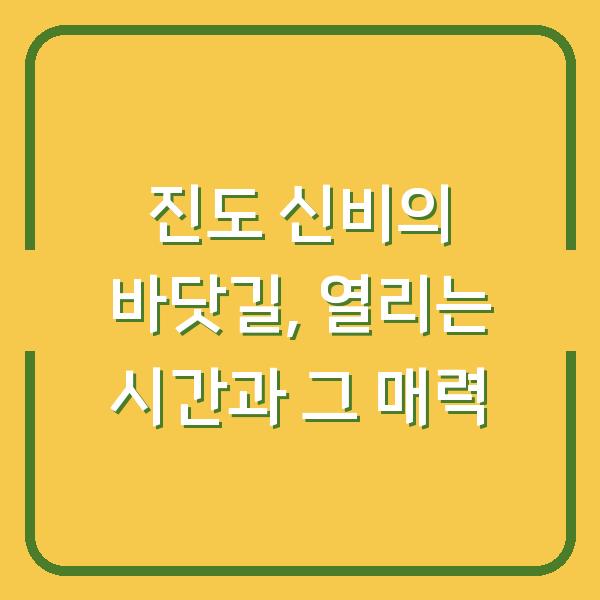 진도 신비의 바닷길, 열리는 시간과 그 매력