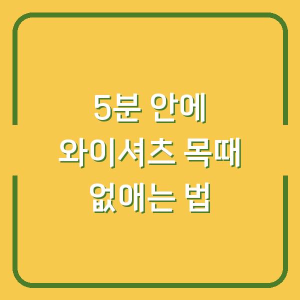 5분 안에 와이셔츠 목때 없애는 법