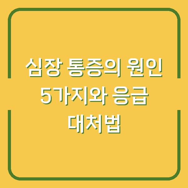 심장 통증의 원인 5가지와 응급 대처법