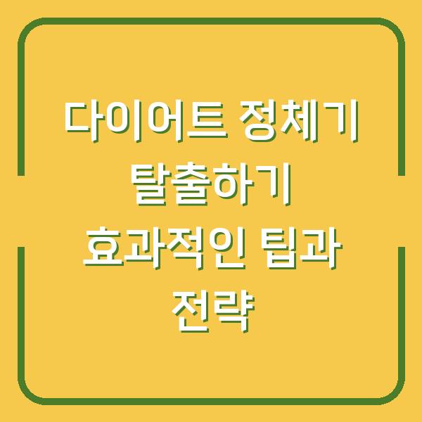 다이어트 정체기 탈출하기 효과적인 팁과 전략