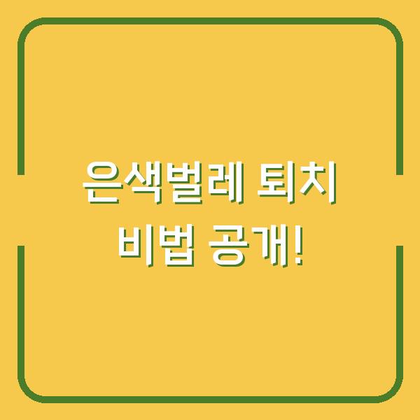 은색벌레 퇴치 비법 공개!