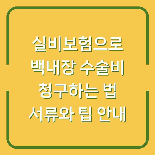 실비보험으로 백내장 수술비 청구하는 법 서류와 팁 안내
