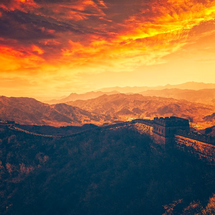 면역력 강화 효과