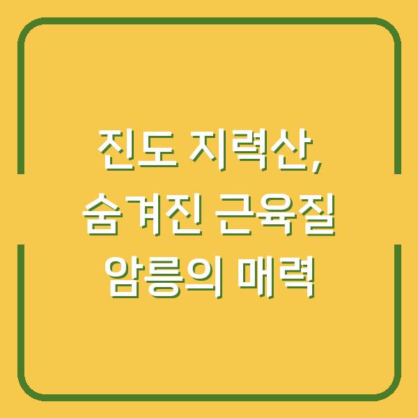 진도 지력산, 숨겨진 근육질 암릉의 매력