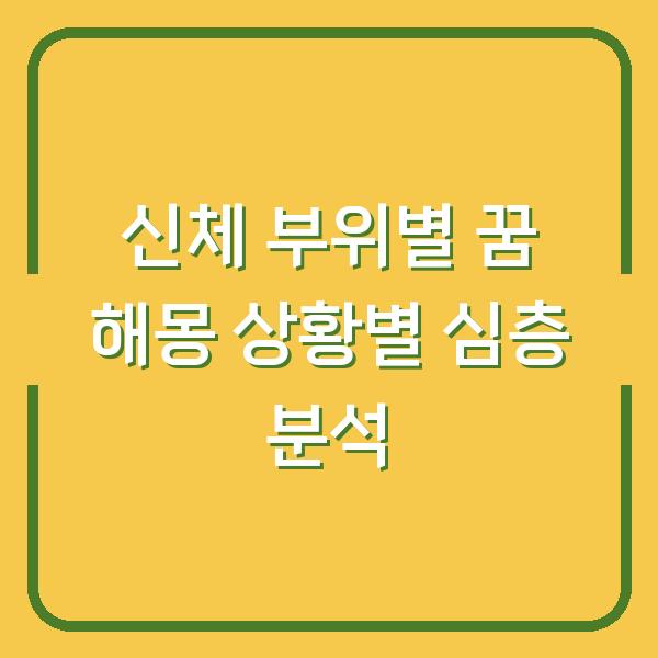 신체 부위별 꿈 해몽 상황별 심층 분석