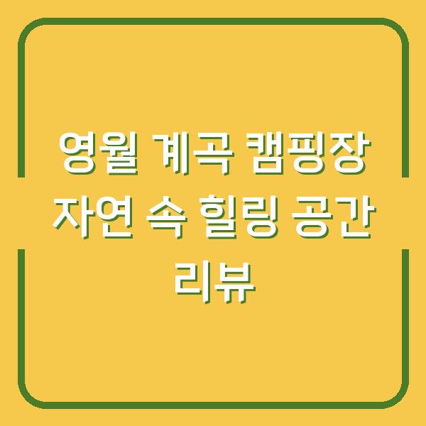 영월 계곡 캠핑장 자연 속 힐링 공간 리뷰