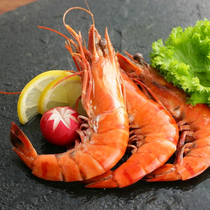 겨울철 조개류