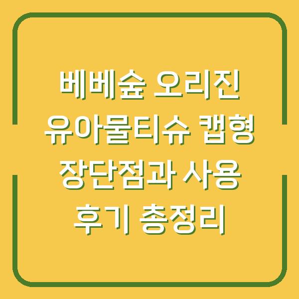 베베숲 오리진 유아물티슈 캡형 장단점과 사용 후기 총정리