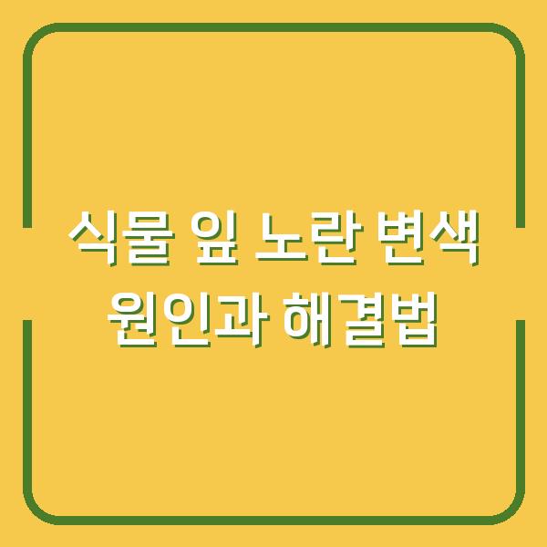 식물 잎 노란 변색 원인과 해결법