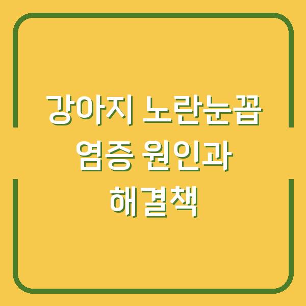 강아지 노란눈꼽 염증 원인과 해결책