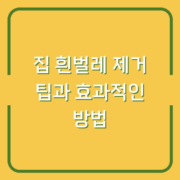 집 흰벌레 제거 팁과 효과적인 방법