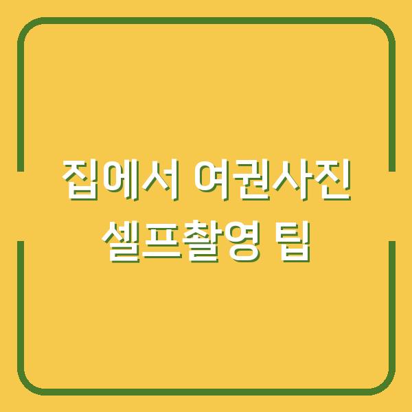 집에서 여권사진 셀프촬영 팁