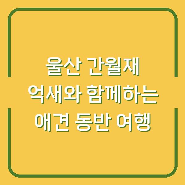울산 간월재 억새와 함께하는 애견 동반 여행