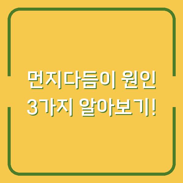 먼지다듬이 원인 3가지 알아보기!