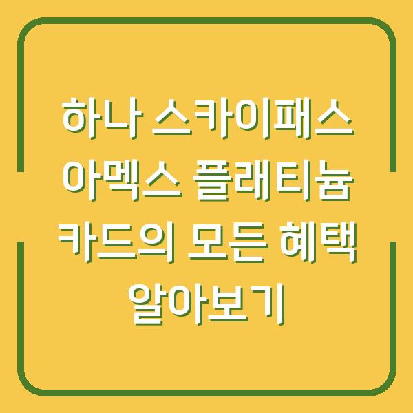 하나 스카이패스 아멕스 플래티늄 카드의 모든 혜택 알아보기