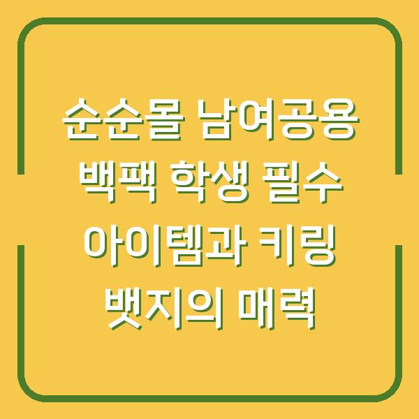 순순몰 남여공용 백팩 학생 필수 아이템과 키링 뱃지의 매력
