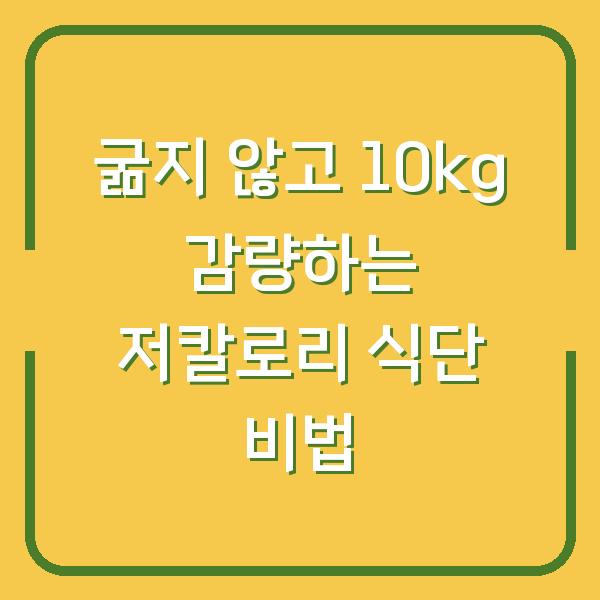 굶지 않고 10kg 감량하는 저칼로리 식단 비법
