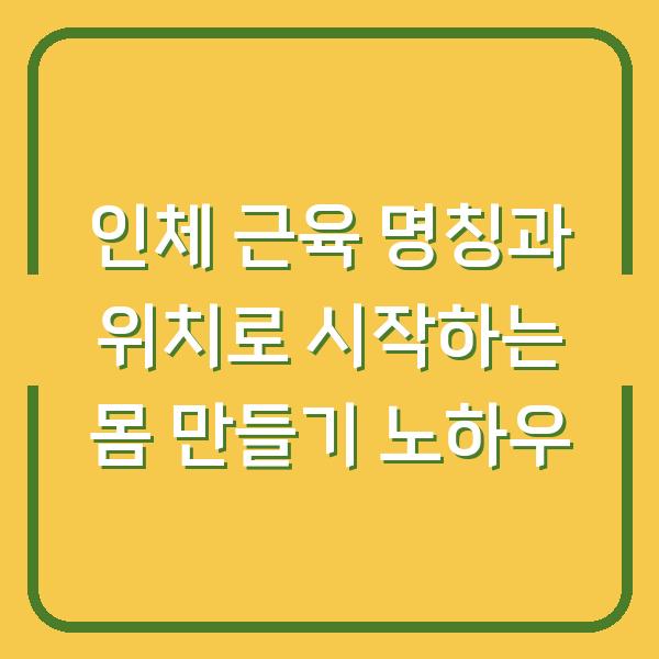 인체 근육 명칭과 위치로 시작하는 몸 만들기 노하우