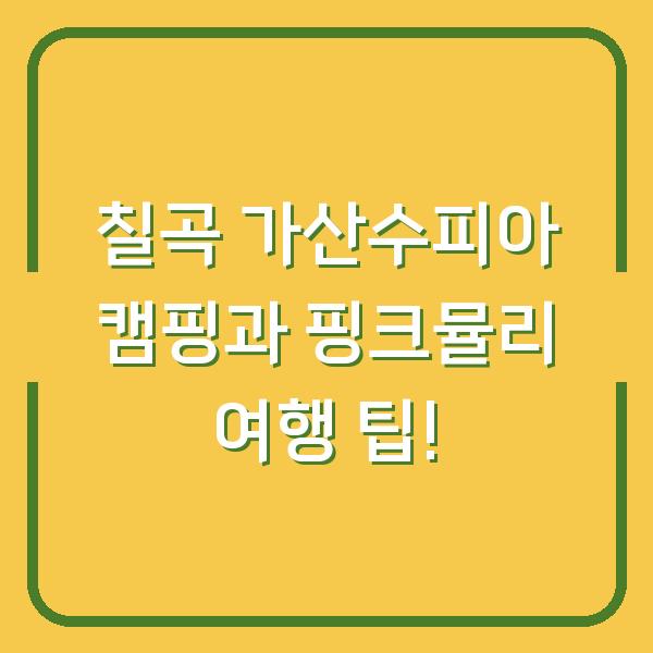 칠곡 가산수피아 캠핑과 핑크뮬리 여행 팁!
