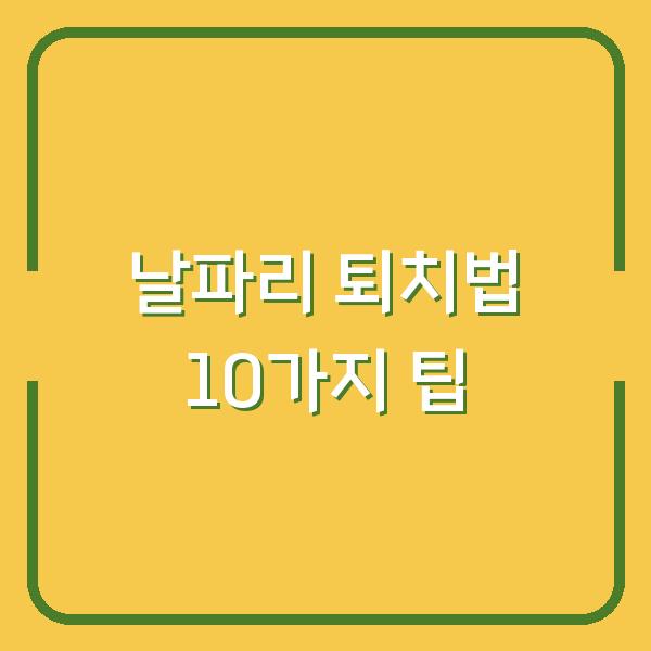 날파리 퇴치법 10가지 팁