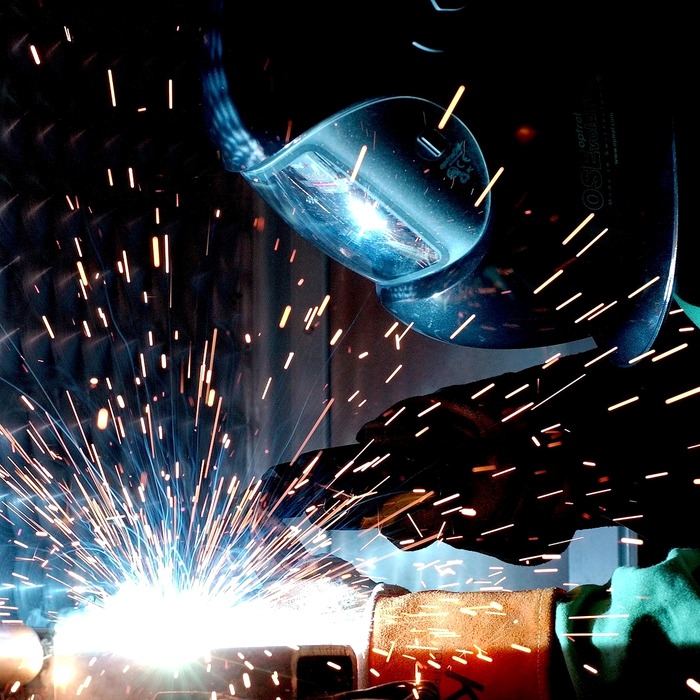 조류 산업 피해