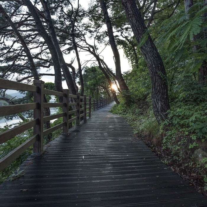 수변공원 산책로