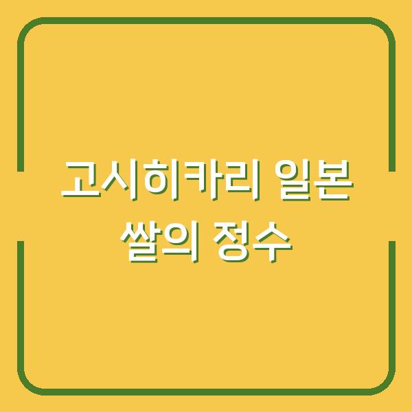고시히카리 일본 쌀의 정수