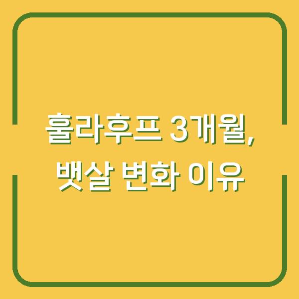 훌라후프 3개월 차, 뱃살 변화가 확실히 보이는 이유