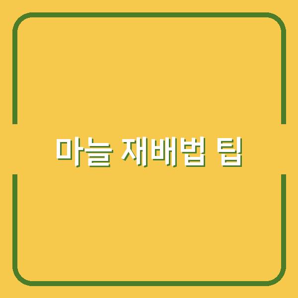 한지형·난지형 마늘 심는 최적 시기와 재배법, 수확량 높이는 실전 팁