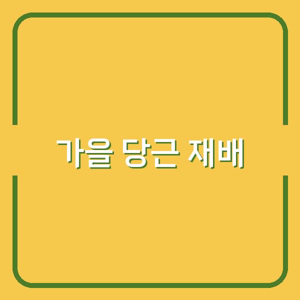 가을에 당근 재배하기 심는 시기부터 수확까지 성공적인 팁