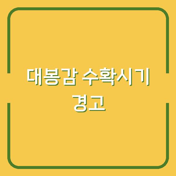 대봉감 수확시기 놓치면 홍시 망칩니다