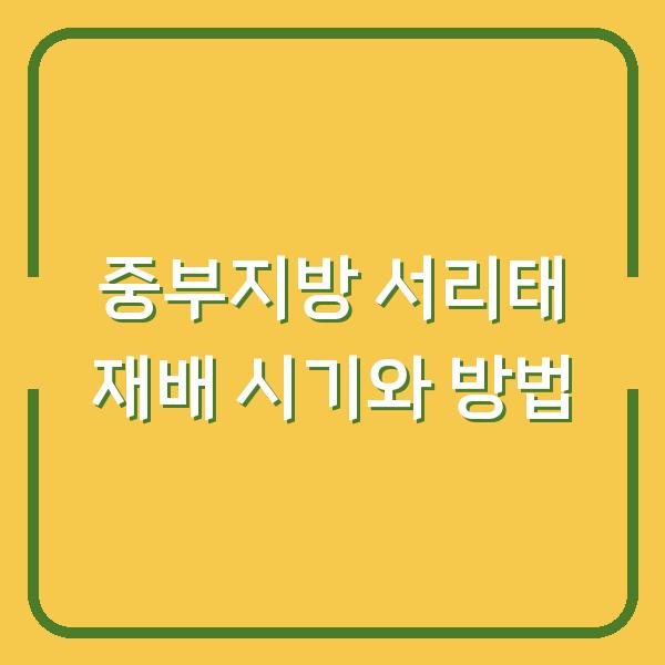 중부지방 서리태, 심는 시기와 재배법만 알면 수확량 두 배