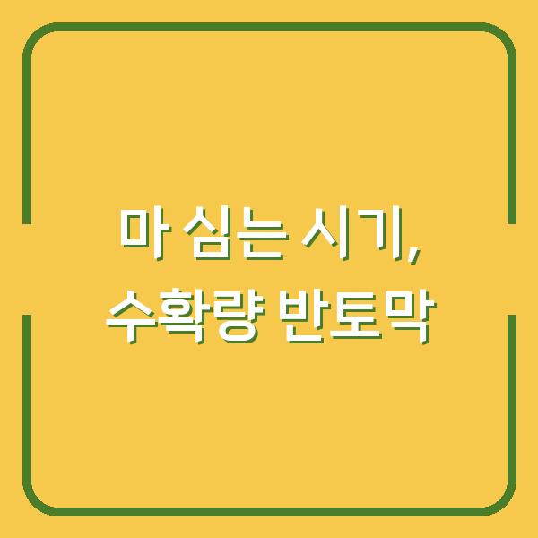 마 심는 시기 놓치면 수확량 반토막…재배법 3가지만 바꿔보세요