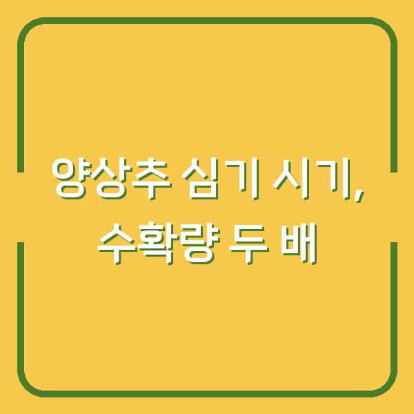 양상추 심는 시기, 모종 심기와 파종 시기 차이를 알면 수확량이 두 배