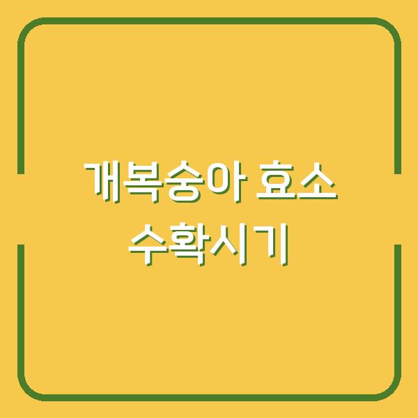 개복숭아 효소, 수확시기 놓치면 효과 반토막? 지금 바로 담가야 하는 이유