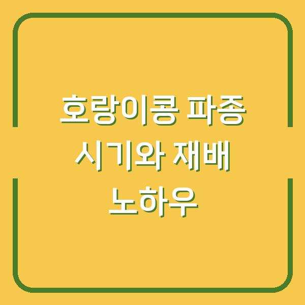 호랑이콩 심는 시기와 파종 방법, 재배 노하우로 수확량 2배 늘린 비결