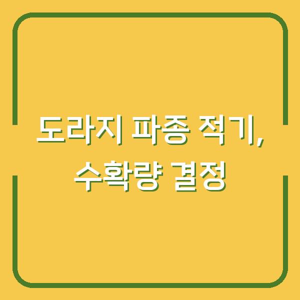 도라지 심는 시기 놓치면 수확량 반토막…지금 파종해야 하는 이유