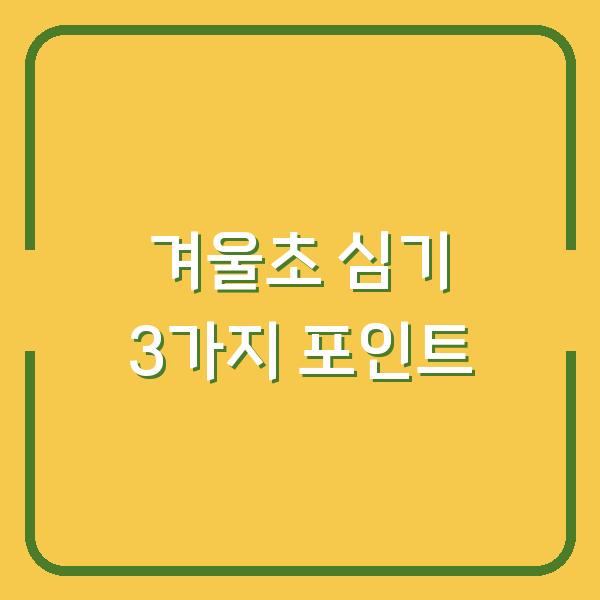 겨울초 심는 시기, 월동 준비부터 수확까지 실패 없는 3가지 포인트