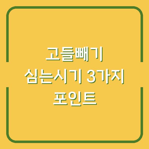 고들빼기 심는시기만 잘 맞춰도? 파종부터 수확까지 3가지 달라지는 포인트