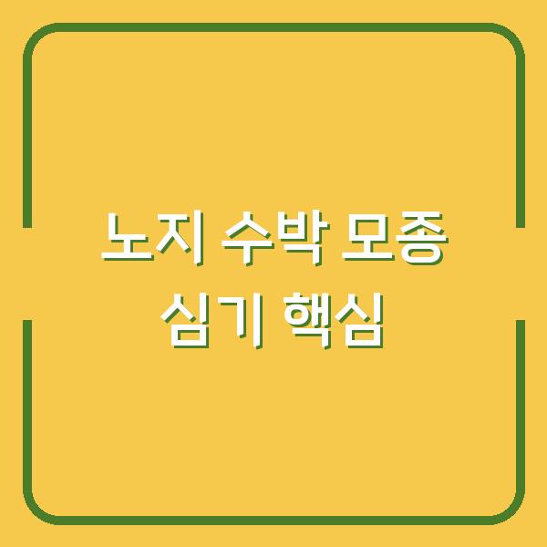 노지 수박 심는시기, 3년차 농부가 알려주는 모종 심기와 초기 관리 핵심