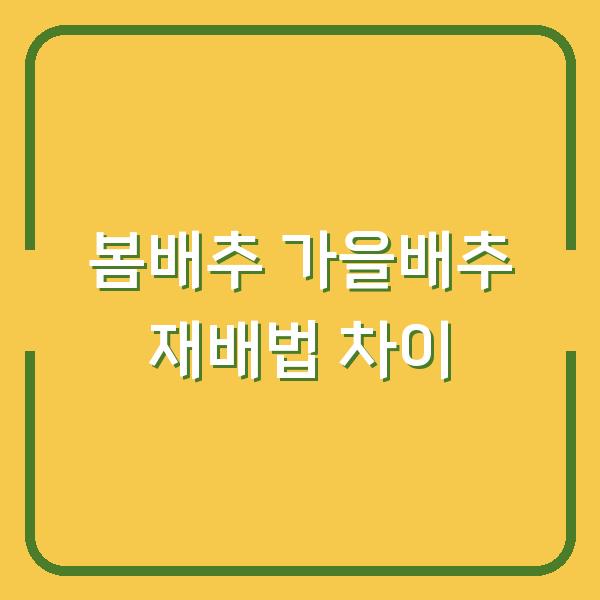 봄배추 심는 시기와 가을배추 재배법, 물주기와 거름주기 차이점