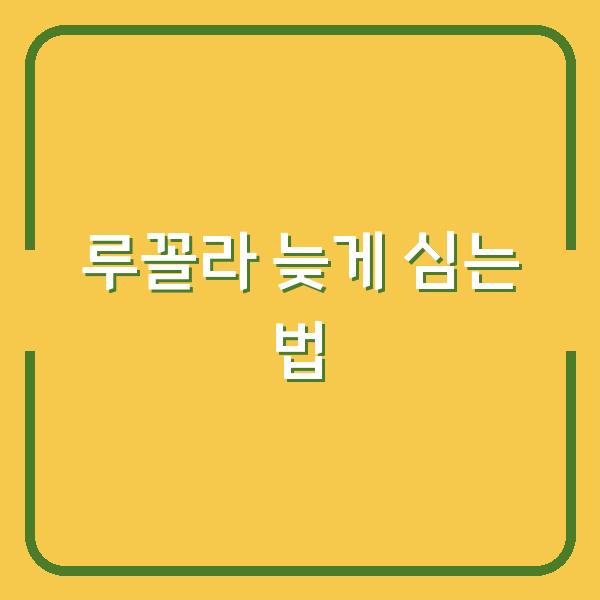 루꼴라 심는 시기 놓쳤다면? 지금 시작해도 늦지 않은 초보 재배법