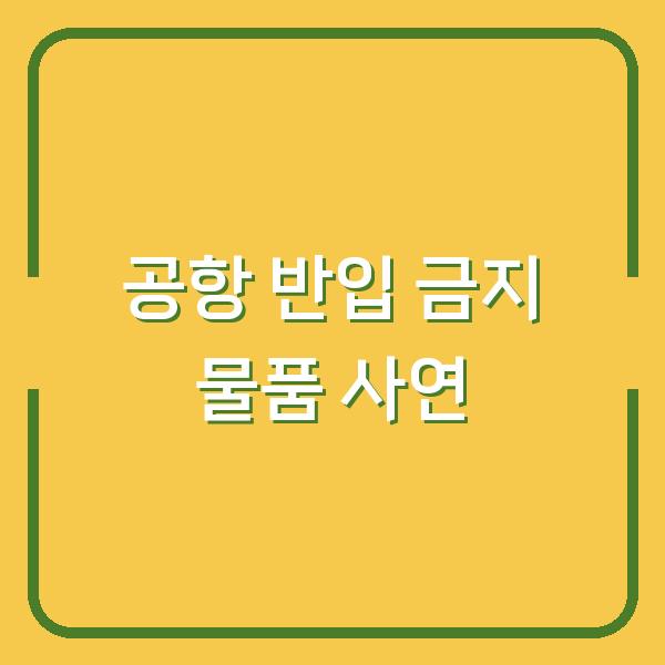 기내 반입 금지 물품, 모르고 챙겼다가 공항에서 버린 진짜 사연 5가지