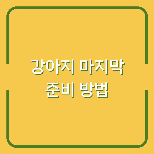강동구 강아지화장 성동구 애견장례식장에서 마지막 순간을 특별하게 준비하는 방법